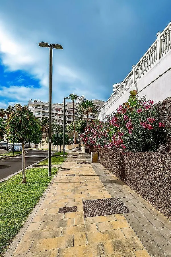 Apartamentos Olympia Playa de las Americas  Playa de las Americas (Tenerife)